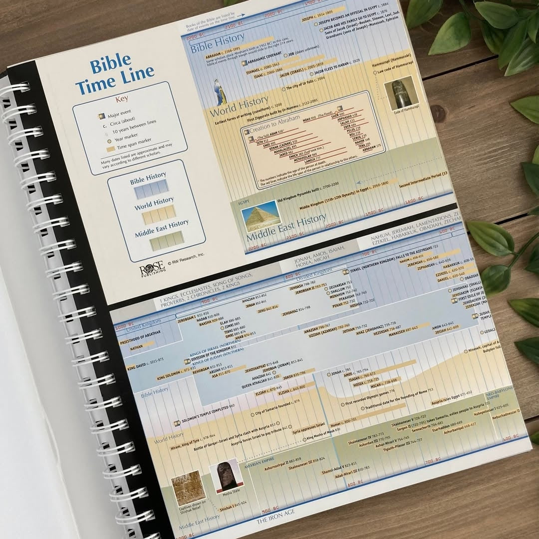 📖💫Book of Bible Charts, Maps, and Time Lines