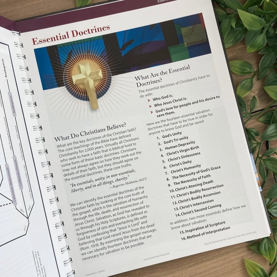 📖💫Book of Bible Charts, Maps, and Time Lines